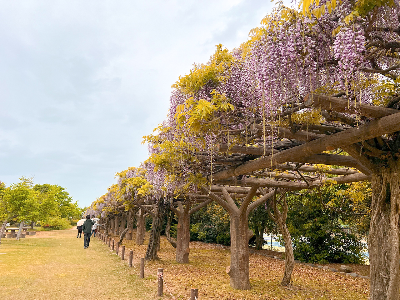 greenpark_05