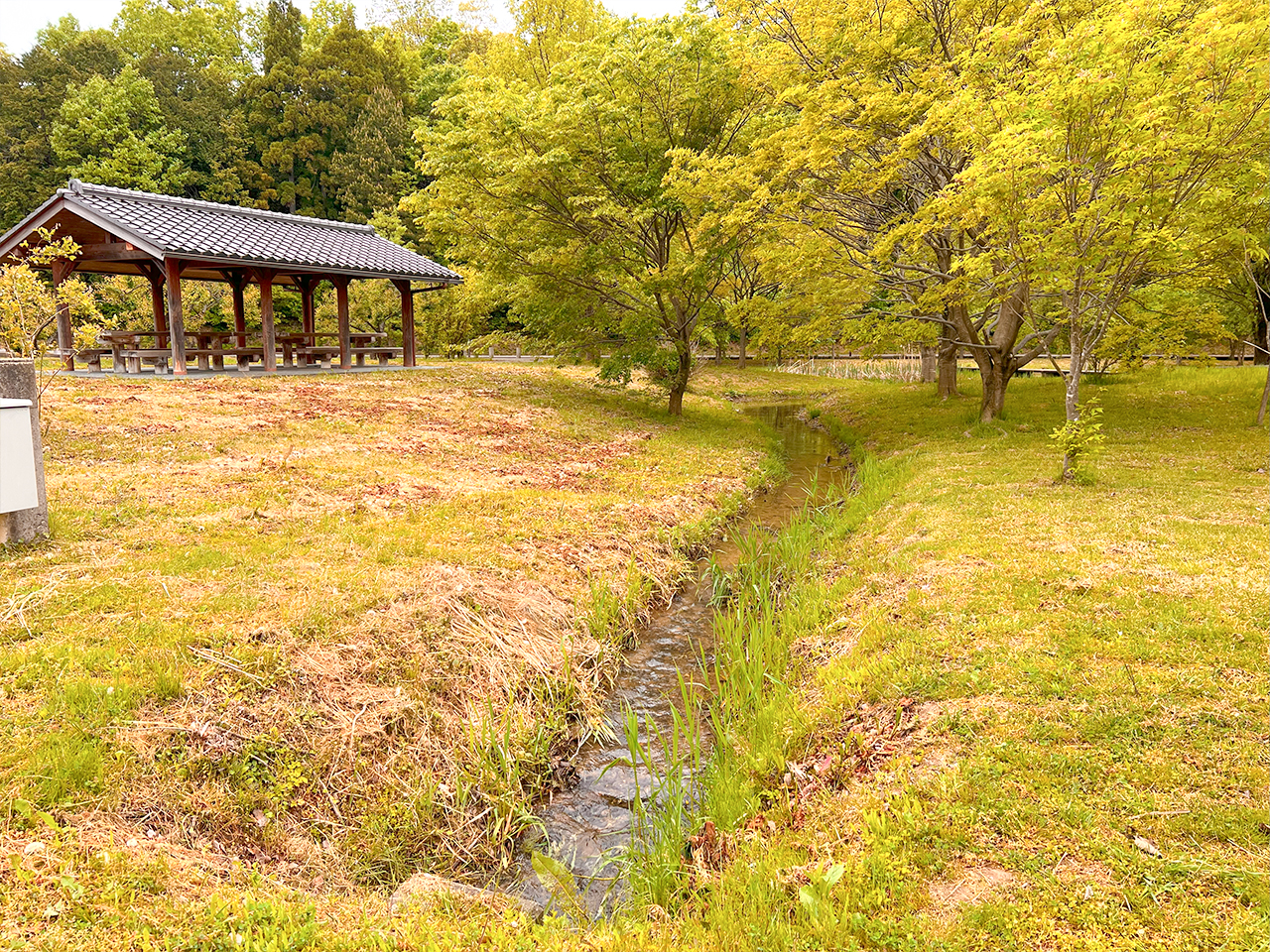 kokuzosatoyama_03