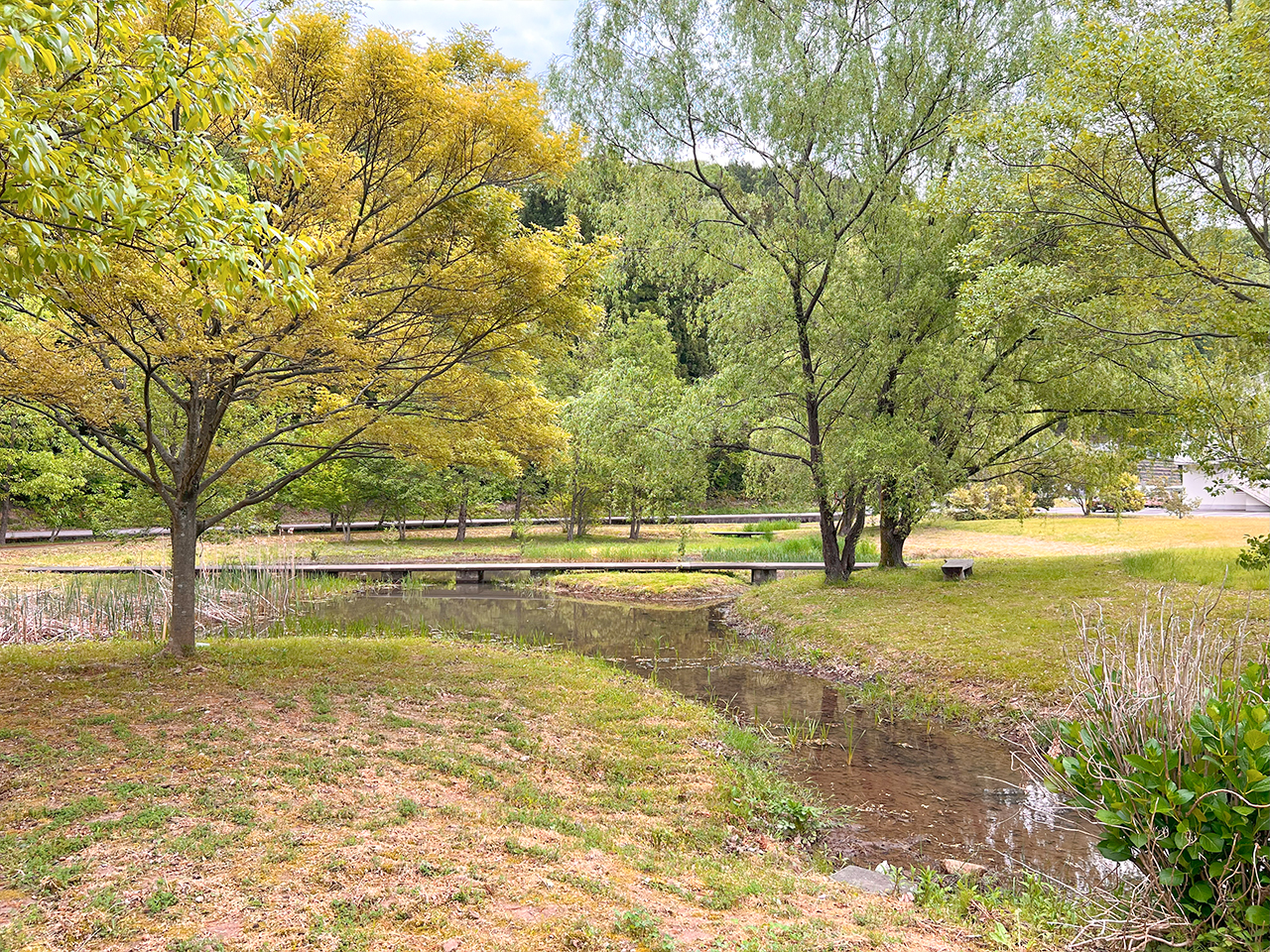 kokuzosatoyama_05