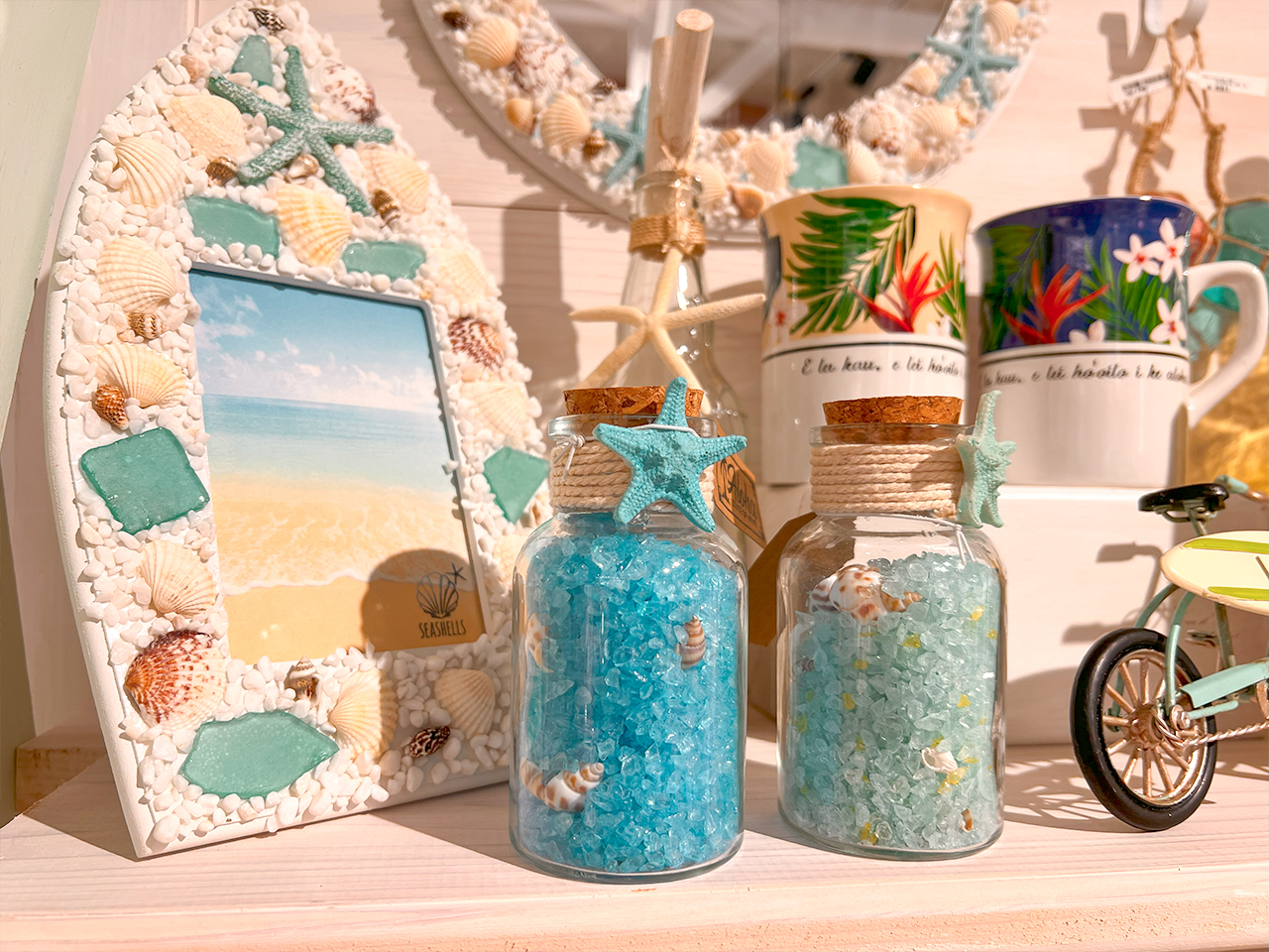 seashells_06
