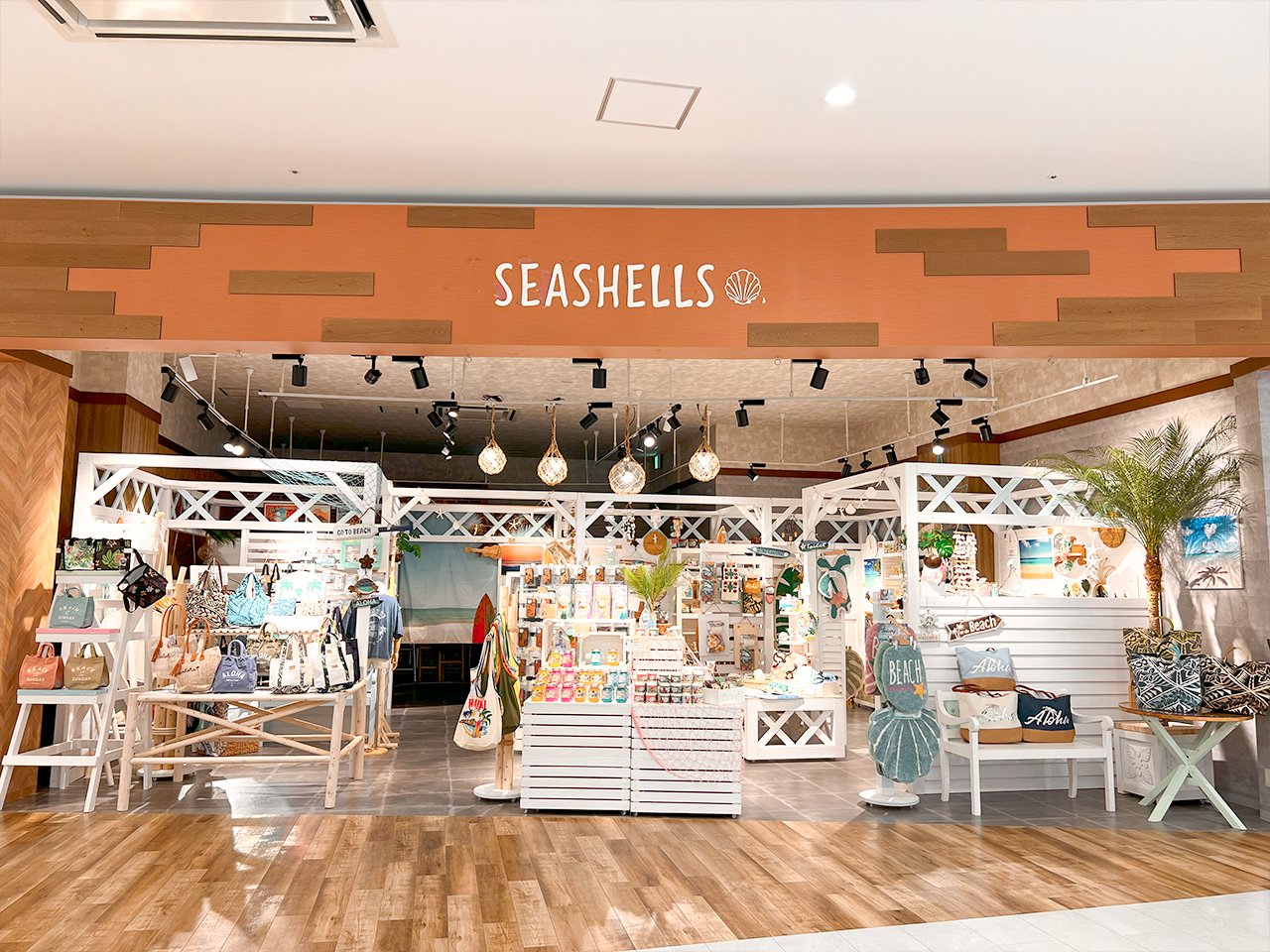 seashells_08
