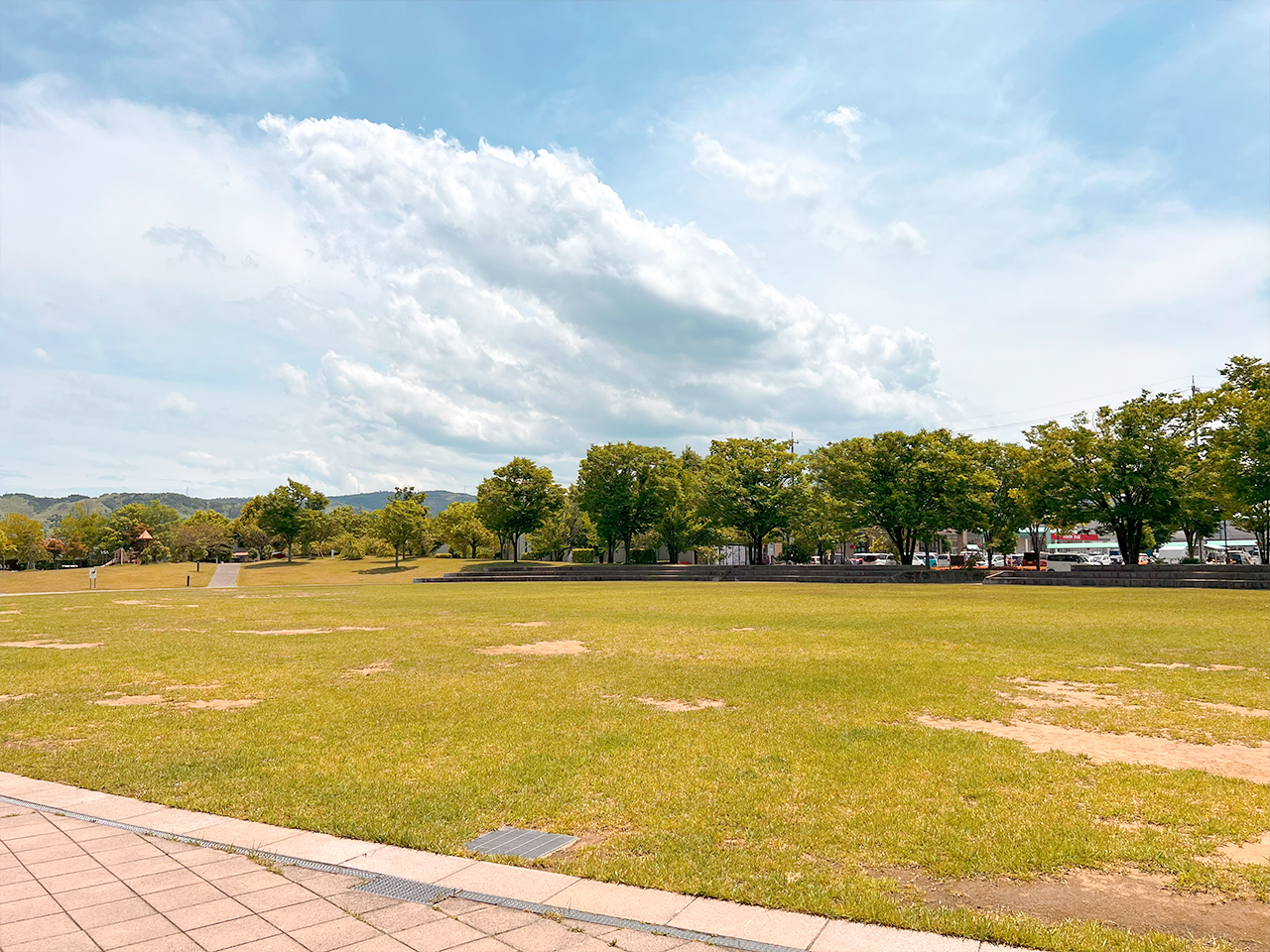 aramiya_01