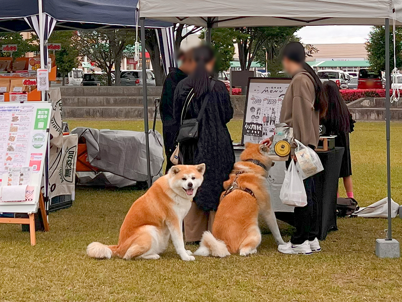 wan_05
