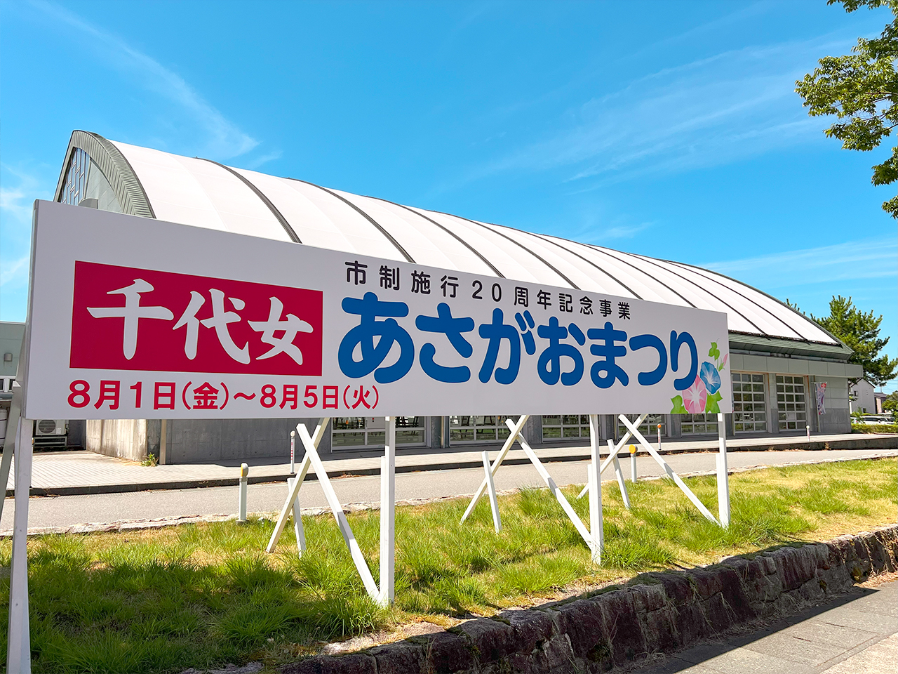 asagao_06