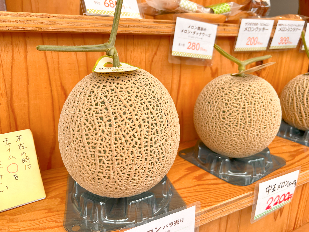 yoshikawa_08