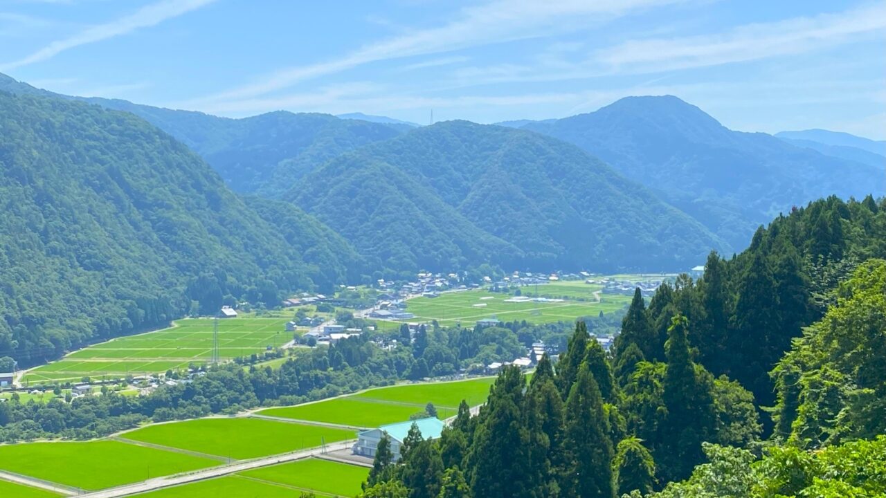 torigoe_02