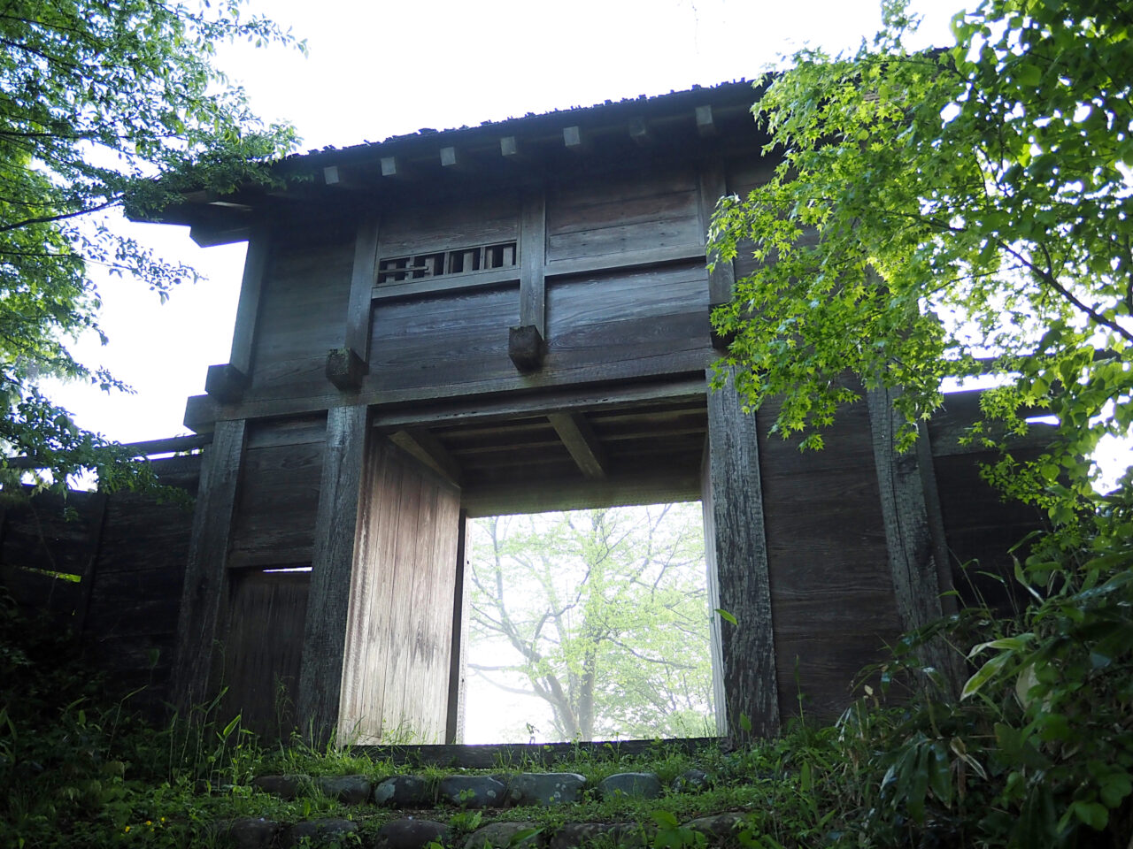 torigoe_04