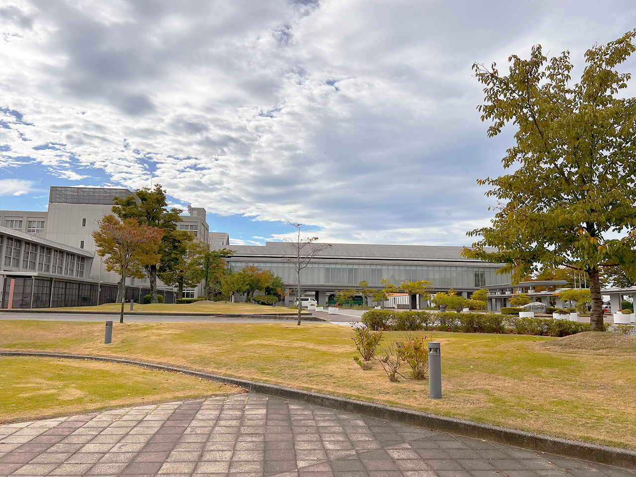 ishikawa_02
